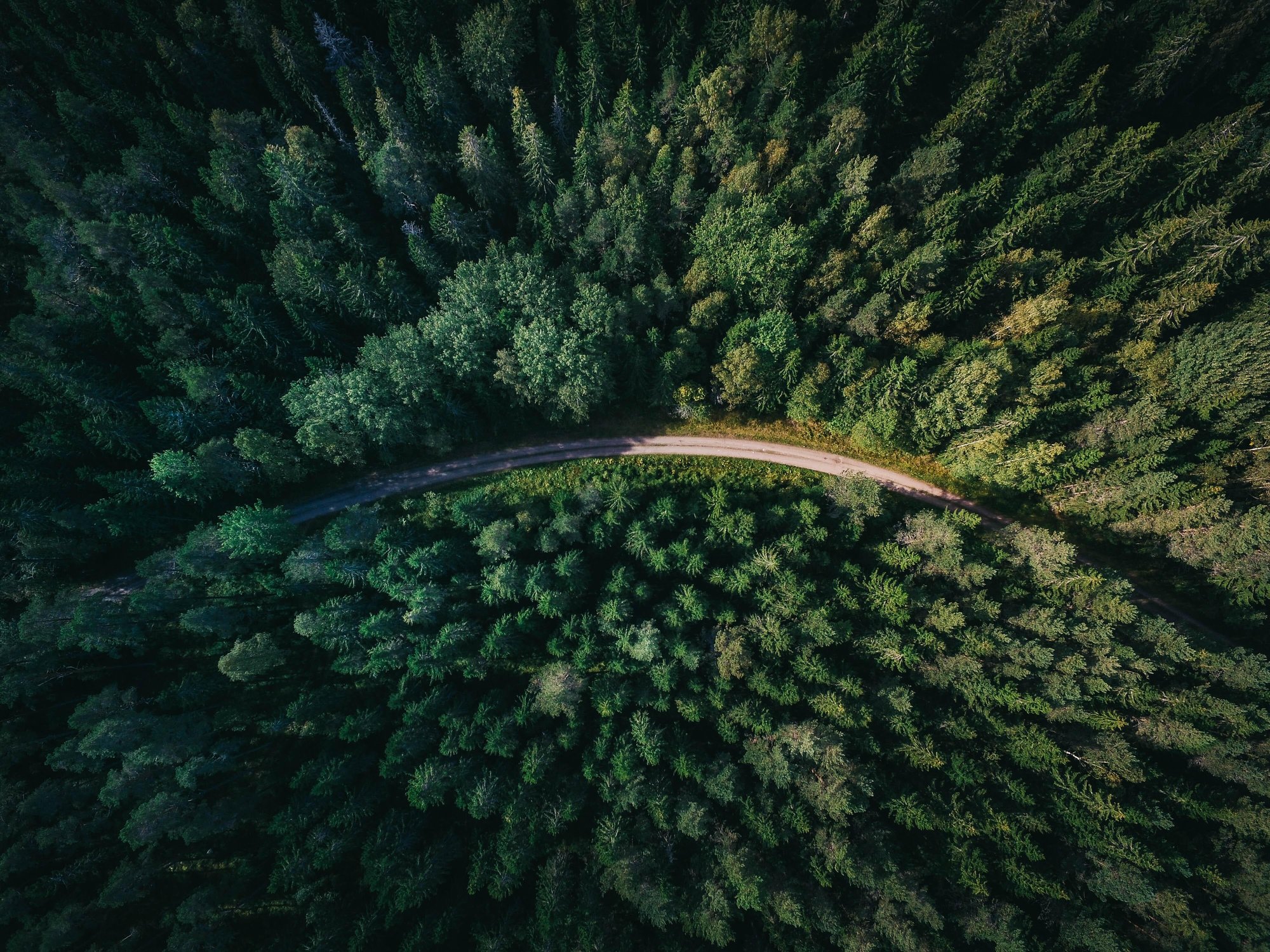 geran-de-klerk-qzgN45hseN0-unsplash (2)-1