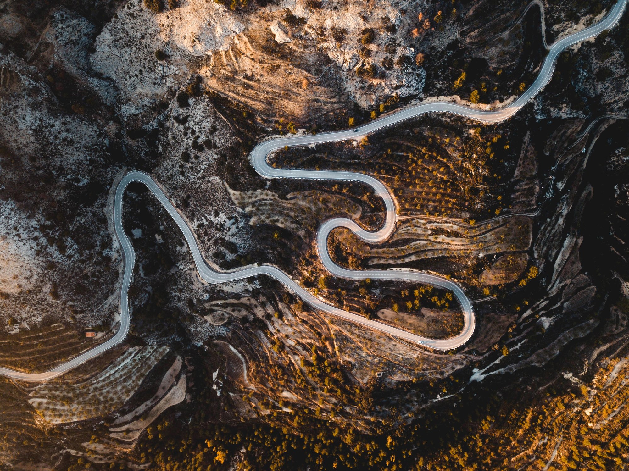 jack-anstey-zS4lUqLEiNA-unsplash (1)