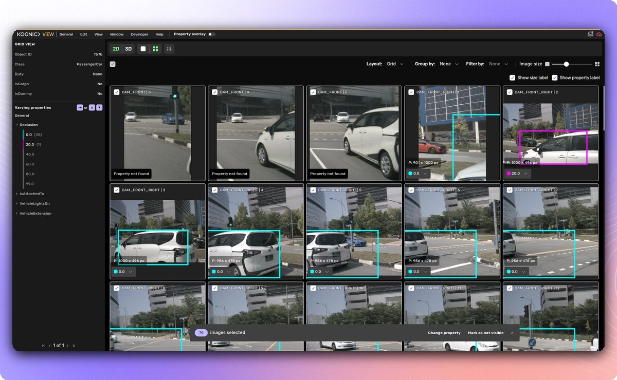 Kognic 2D grid view showing the toolbar, group-by control and batch action bar during a multi-select property edit